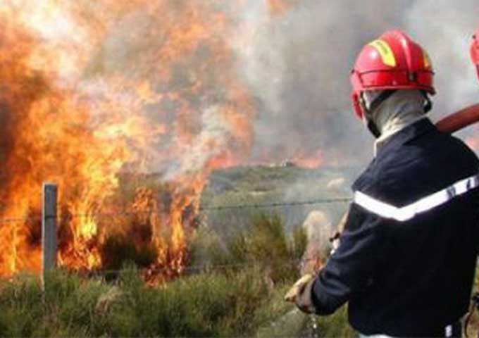 حريق بالمنطقة الغابية "دوار المثاليث" في سجنان من ولاية بنزرت