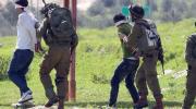 قوات الاحتلال الصهيوني تعتقل 14 فلسطينيًا من محافظات الضفة